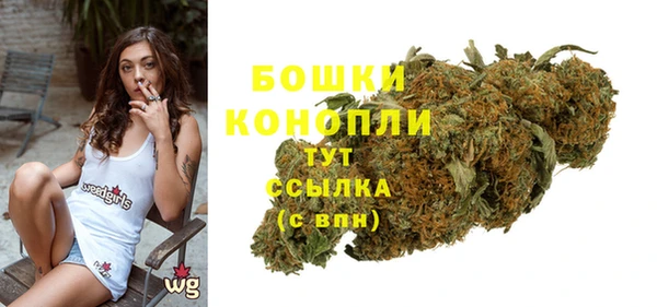 соль ск Белокуриха