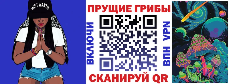 Псилоцибиновые грибы GOLDEN TEACHER  сколько стоит  Великие Луки 